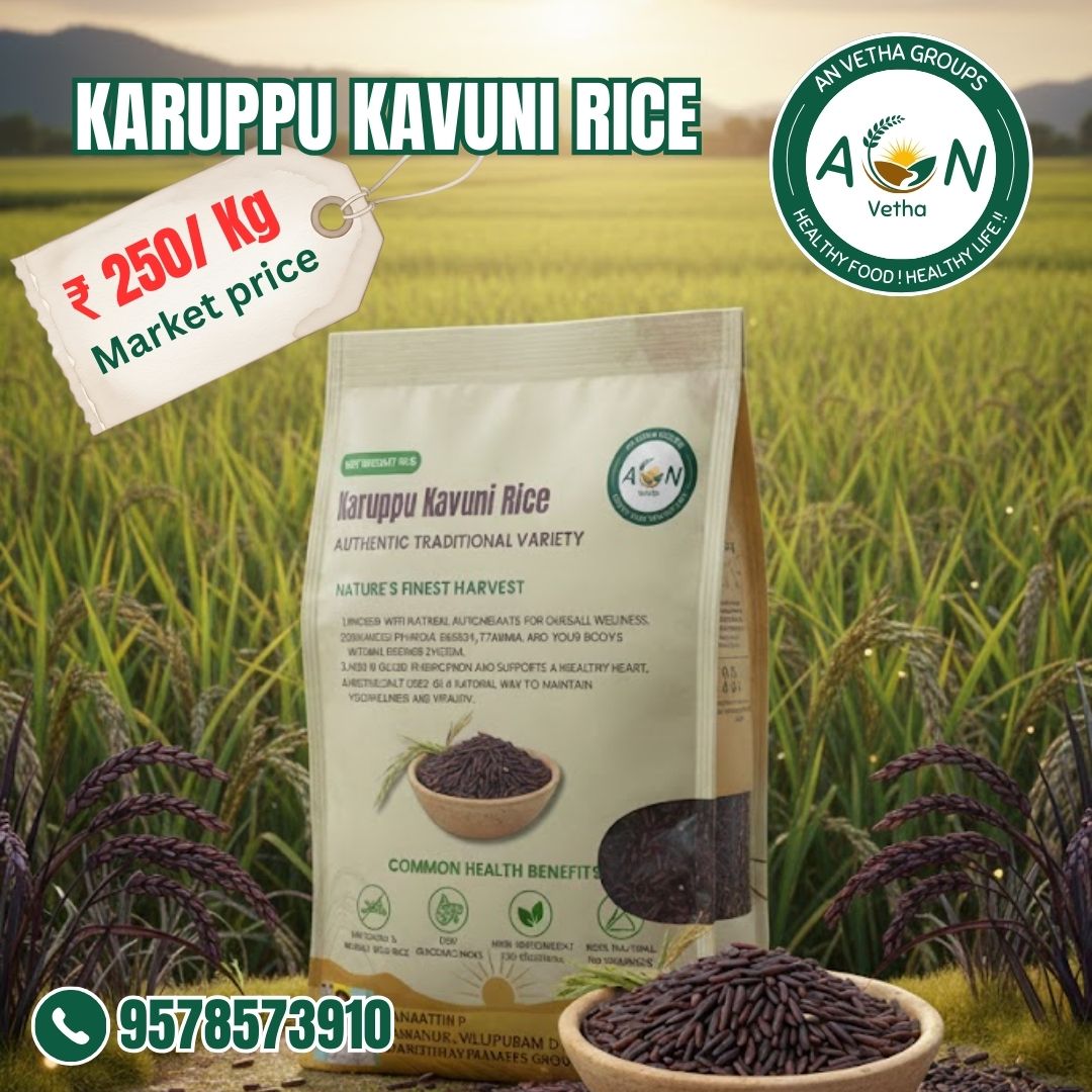 Organic Karuppu Kavuni black rice grown naturally and sourced from farmers by AN Vetha Groups